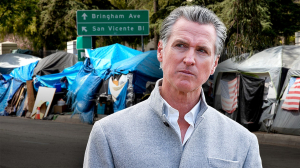 Journalist Nick Shirley Targets NEWSOM After Fraud Exposé