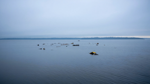 Plane PLUNGES Into Alabama Bay Killing Two