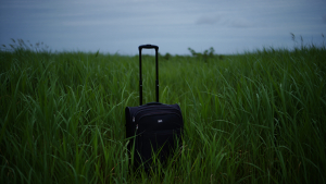 Vultures FEAST On Suitcases Police RIP Them OPEN