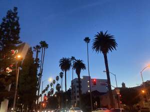 LA Mayoral Candidate Uses DIRTY STREETS To ATTACK CITY LEADERSHIP