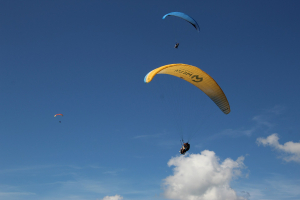 VIDEO: Plane RIPS THROUGH Paraglider Mid Flight Over Alps