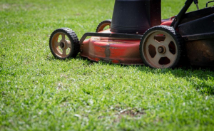 Grandmother FIRES Revolver At Neighbor Mowing Lawn