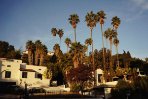 DEA STORMS Los Angeles Home — What’s Inside?