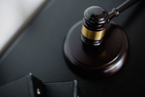 Judge TARGETS Kitten Torture Suspect — Where Is He?