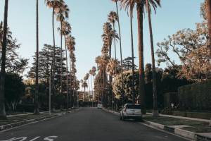 Hollywood Hills Break-In — Suspect Surrenders