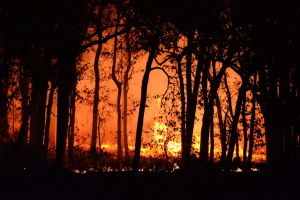 Wildfire EXPLODES — 42,000 Forced Out