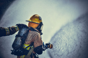 Fire EXPOSES Five Bodies — Animals Dead Too