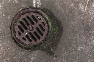 Three CLIMB From Sewer — NYPD Investigates