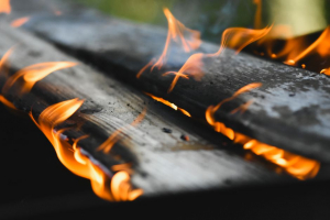 Social Security Cards BURNED — Woman Arrested