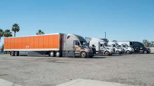 Trucking Companies GO BANKRUPT — Horrific DETAILS