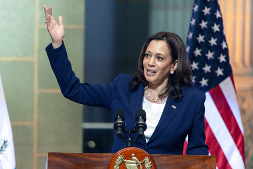 Kamala Harris’s Rising Support Among Democratic Voters for 2028 Presidential Nomination