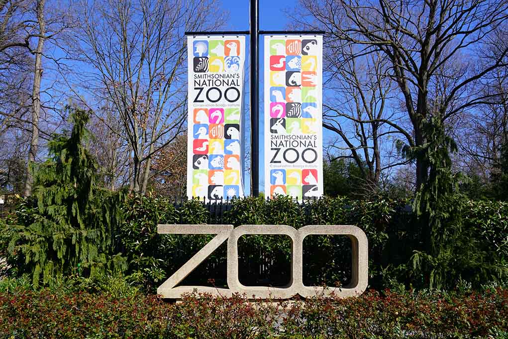 Tragic Death of Zookeeper F. Iriskulov Highlights Need for Safety Regulations in Animal Enclosures