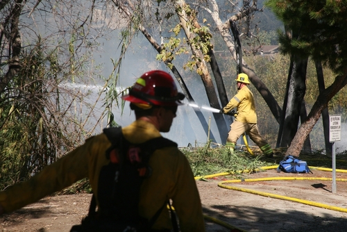 Firefighters extinguishing a wildfire in a forest.
