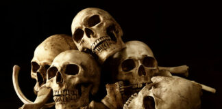 Five human skulls and bones against a black background.