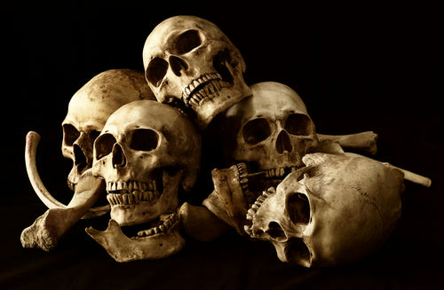 Five human skulls and bones against a black background.